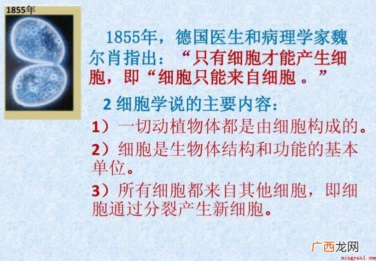 细胞理论的内容是什么? 细胞学说的内容是什么