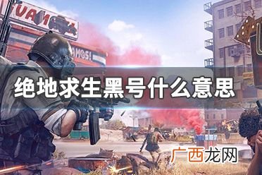 绝地求生黑号是什么意思,绝地求生黑号是什么意思？