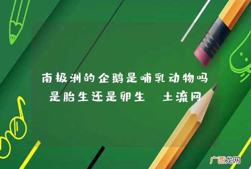 南极洲的企鹅是哺乳动物吗？是胎生还是卵生？土流网