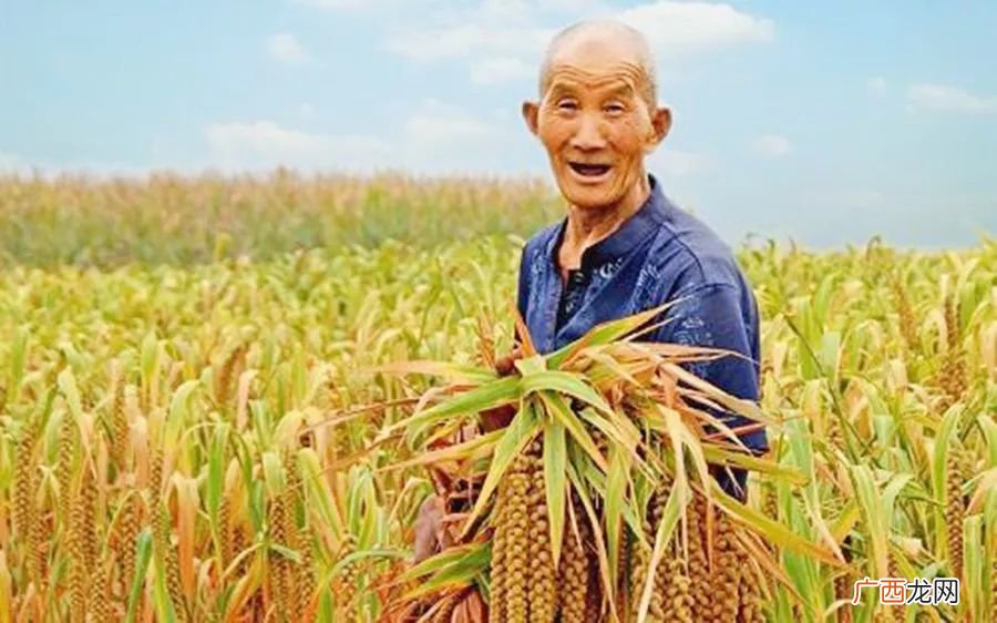 洪范八政是什么,洪范八政是什么意思？