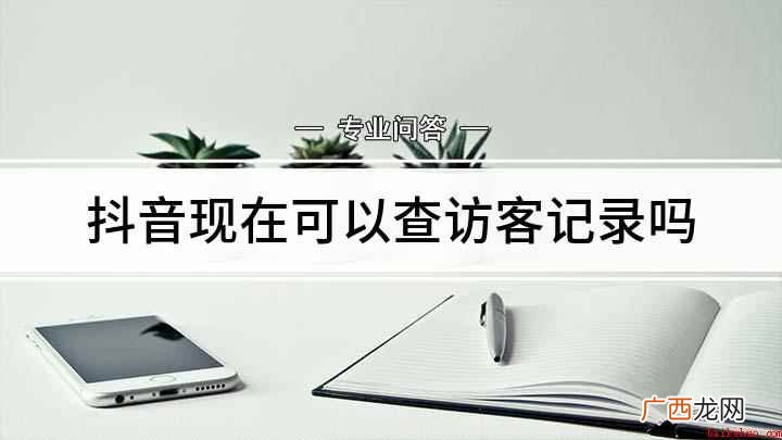 如何查看抖音访客记录 抖音现在可以查访客记录吗