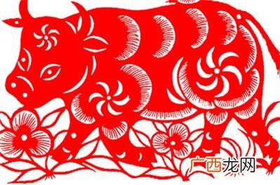 1985年是什么命,1985年2月出生是寅年吗？