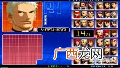 拳皇2002版人物介绍附图,拳皇人物介绍及身份？