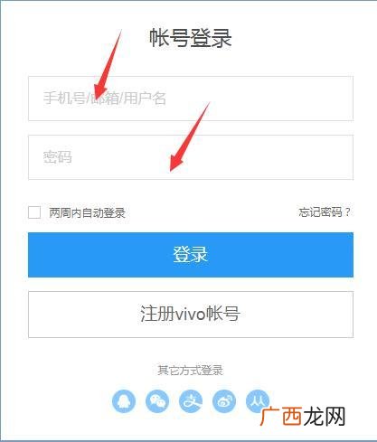 vivox21uda是什么型号,vivox21ud电池参数