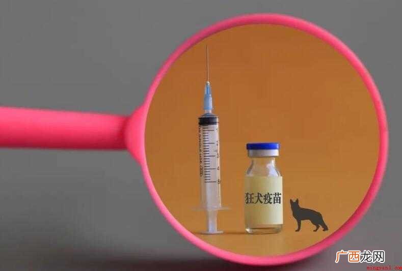 人二倍体细胞狂犬病疫苗为冻干粉针剂 一针狂犬疫苗管多久