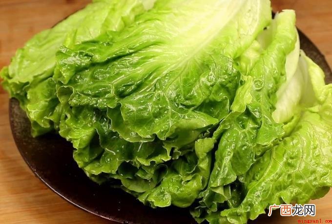 针对生菜形状特点有什么 生菜形态特征有哪些
