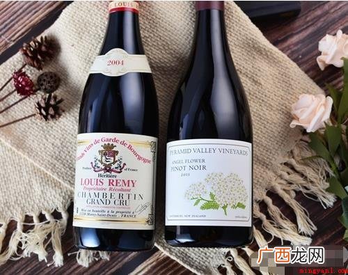 怎样看懂葡萄酒的酒标? 如何看懂葡萄酒的酒标