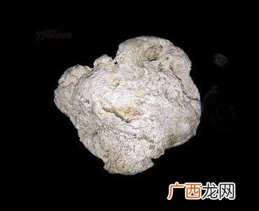 龙涎香是什么东西,龙涎香是怎么形成的？