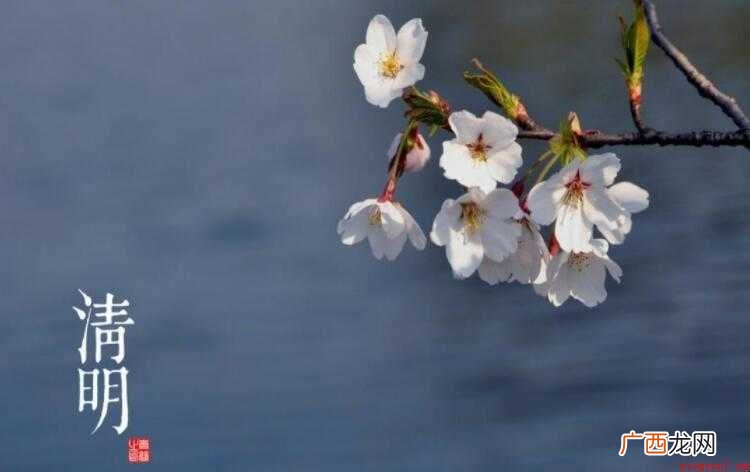清明悼词怎么写 悼念性文章 清明悼词怎么写