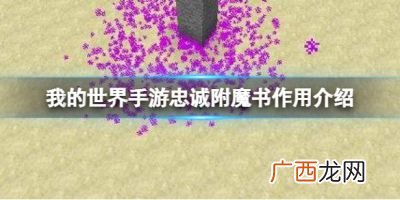 我的世界忠诚附魔书有什么用,mc怎么获得高级附魔？
