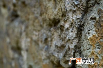 树化石原石如何保养,广西大化石怎么保养？