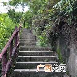 羊台山森林公园有什么景点,赤岭公园附近有哪些景点？