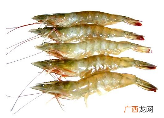 大虾怎么洗,河里的虾怎么清洗