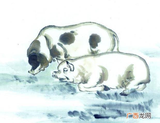 1983年属什么,1983年出的属啥？