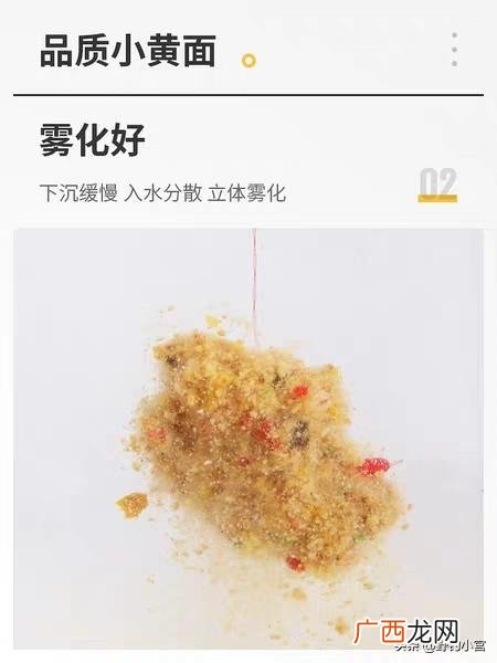 麝香猫的生命抗争,鱼是怎么发现饵料的，一般人还真不知道？