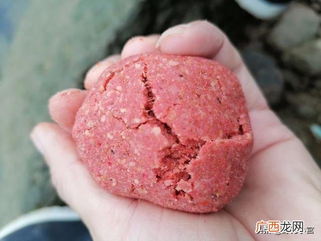 麝香猫的生命抗争,鱼是怎么发现饵料的，一般人还真不知道？