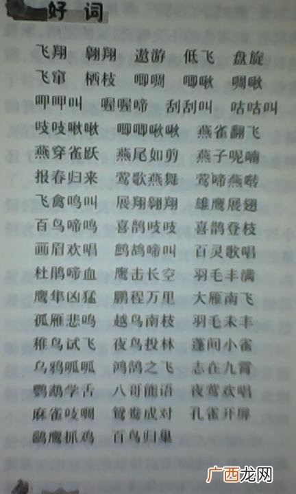 优美词语摘抄大全,优美的词语意思摘抄？
