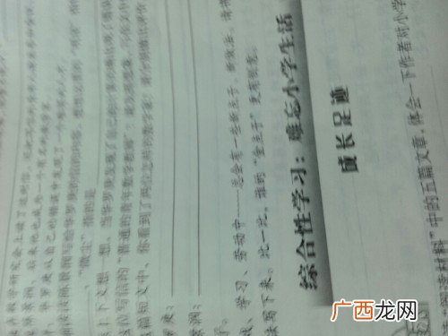 舍本逐末的意思是什么,舍什么逐什么？