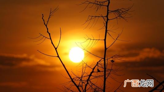 红红的太阳像什么,红红的太阳象什么？