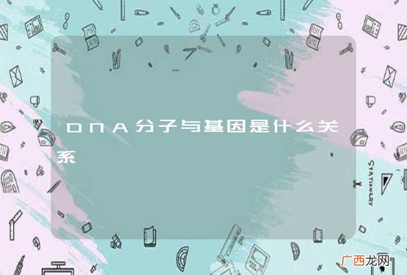 DNA分子与基因是什么关系