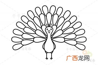 怎么画孔雀,孔雀怎么画最漂亮？