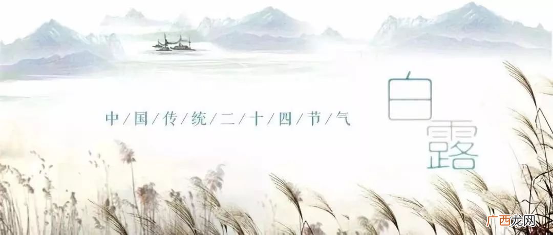 露从今夜白的下一句是什么,路从今夜白的下一句是什么？