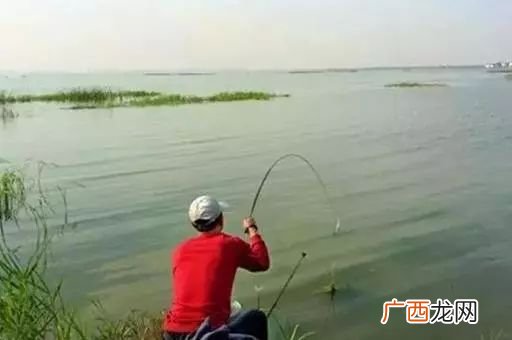 钓鱼方法大全,用什么钓鱼最容易钓到鱼？
