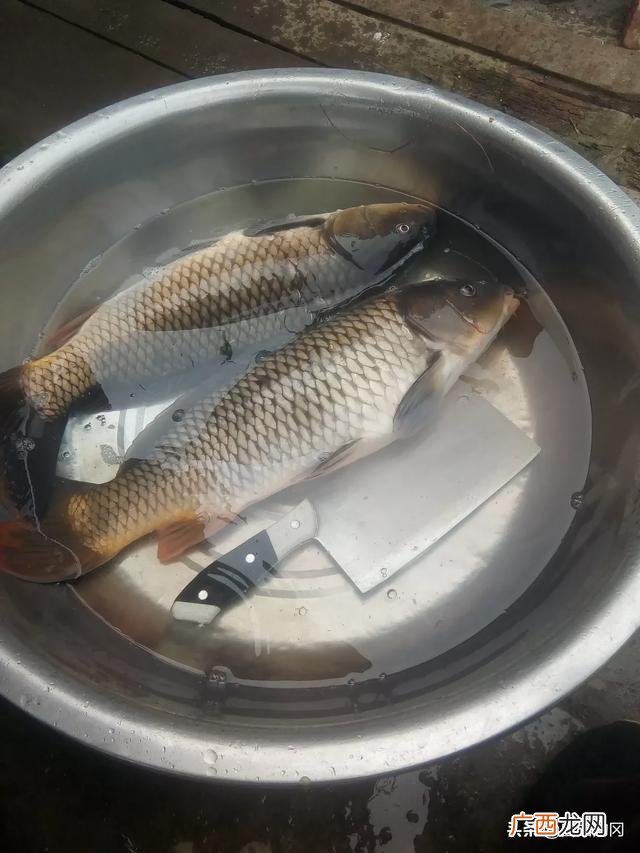 钓鱼方法大全,用什么钓鱼最容易钓到鱼？