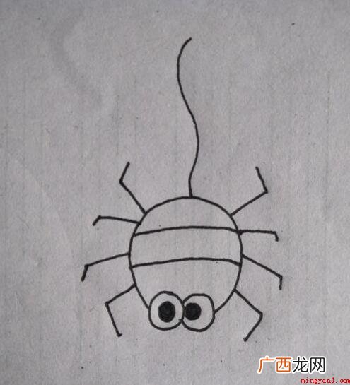 儿童蜘蛛简笔画怎么画? 蜘蛛简笔画怎么画