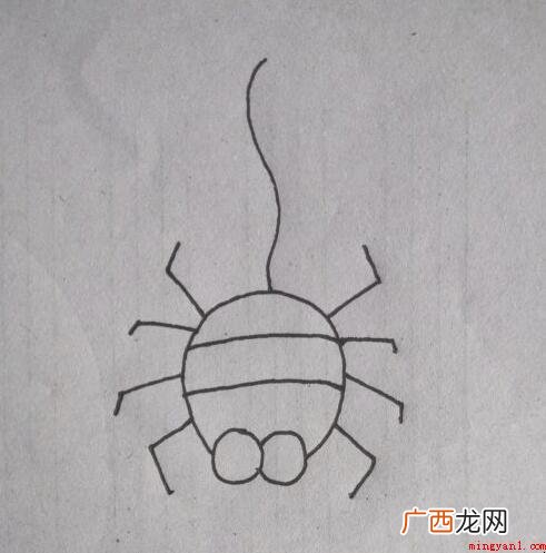 儿童蜘蛛简笔画怎么画? 蜘蛛简笔画怎么画