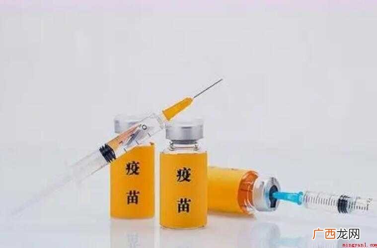 乙肝疫苗是终身免疫吗