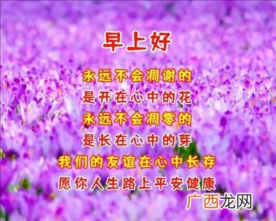 祝福好友的经典句子,朋友离职祝愿美好未来的句子？