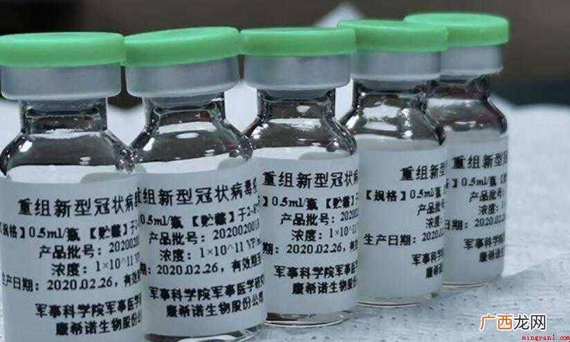 腺病毒载体疫苗和灭活疫苗的区别是什么