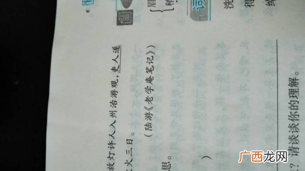 古文中的颇是什么意思,颇有才华什么意思？