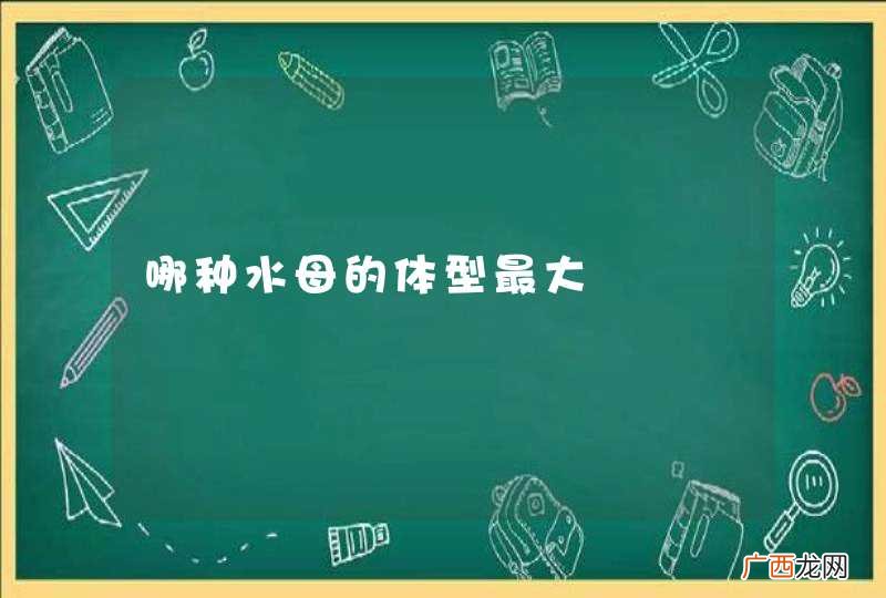 哪种水母的体型最大