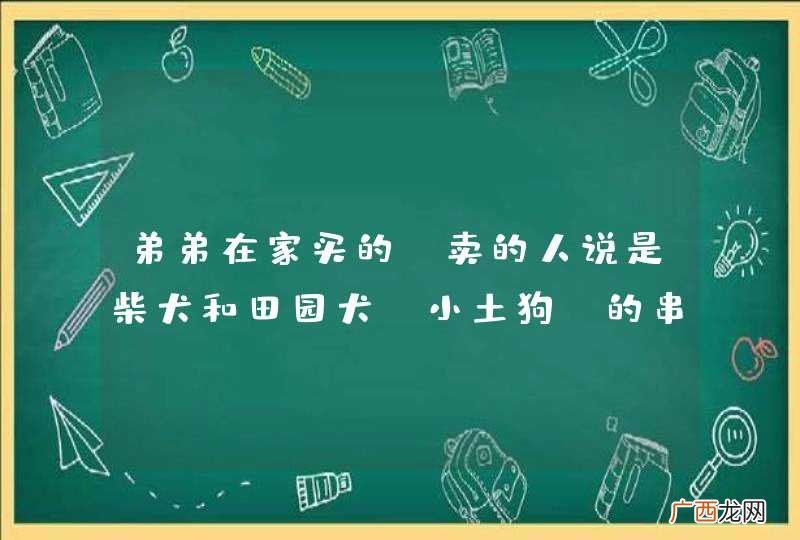 小土狗 弟弟在家买的，卖的人说是柴犬和田园犬的串串，请问是吗？