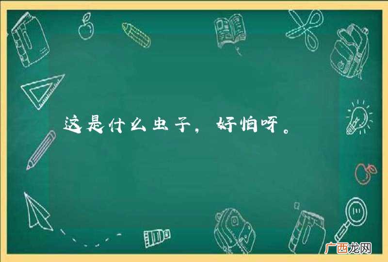 这是什么虫子，好怕呀。