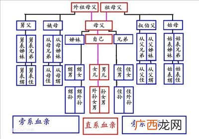 直系亲属和旁系三代亲属怎么计算,直系三代亲属指的是那些人？