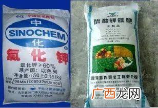 钾肥是什么肥料,什么是钾肥？