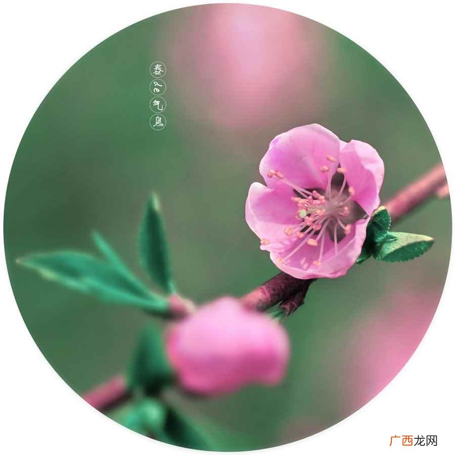 春季是有哪几个月