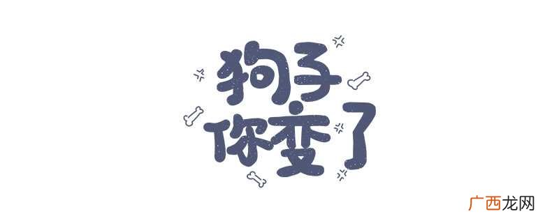 网络用语“你是真的狗”所要表达的意思 你是真的狗指的是什么梗是什么意思