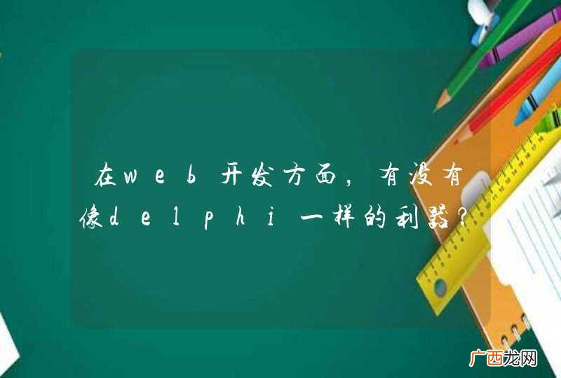 在web开发方面，有没有像delphi一样的利器？