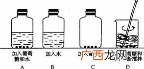 呼吸作用的过程,光合呼吸原理及方程？