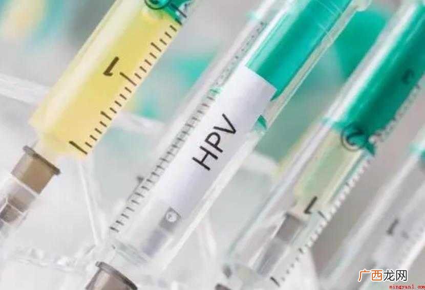 国产hpv疫苗是几价