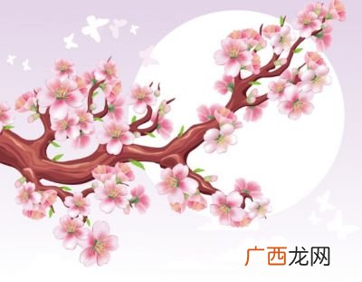 梅花的精神是指什么,梅花代表了什么高尚的品质和精神？