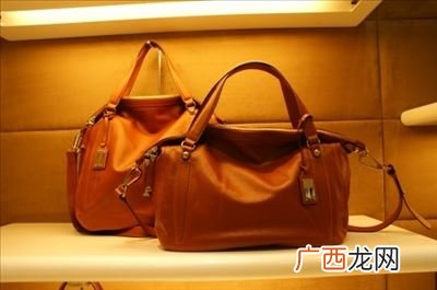 迪桑娜女包是什么档次,迪桑娜是世界大品牌吗？