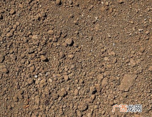 成土母质是什么,决定土壤矿物质的因素是什么？