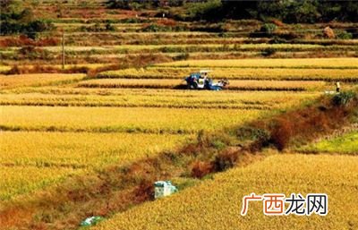 一亩两分地是多少平方米,一亩二分半是什么意思？