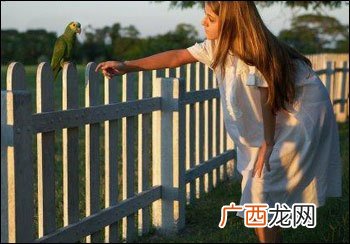 令爱是称呼对方什么人,古代中对对方儿子,女儿,母亲的尊称是什么？