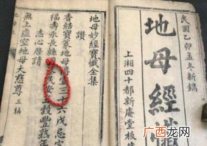 庚子年是什么意思,庚子仲冬什么意思？